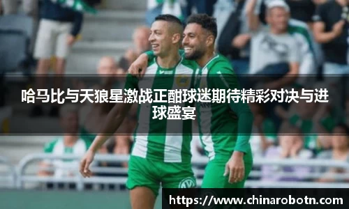 哈马比与天狼星激战正酣球迷期待精彩对决与进球盛宴