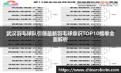 武汉羽毛球队引领最新羽毛球意识TOP10榜单全面解析