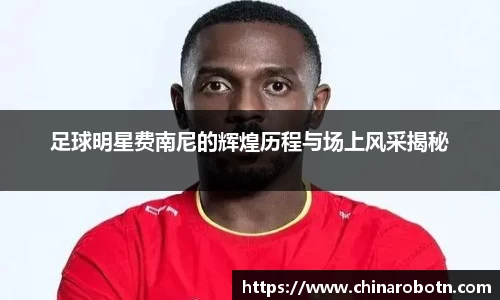 足球明星费南尼的辉煌历程与场上风采揭秘